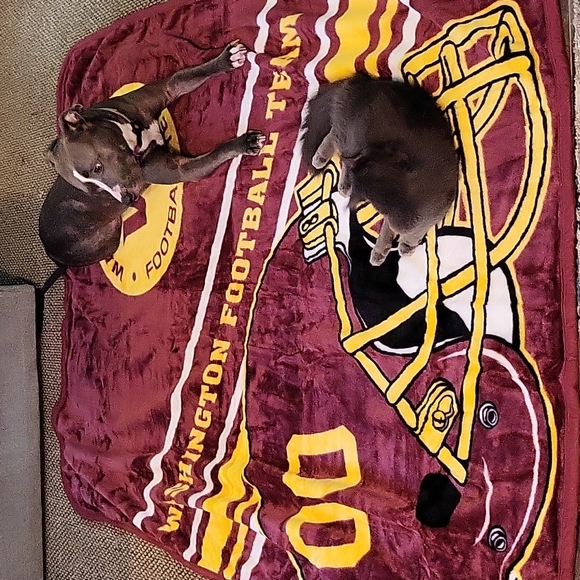 NFL Washington Commanders Throw - Picture 3 of 3